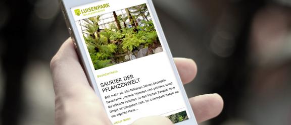 Darstellung der Luisenpark-Website auf einem Smartphone